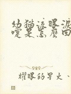 幼猫流眼泪打喷嚏是怎么回事