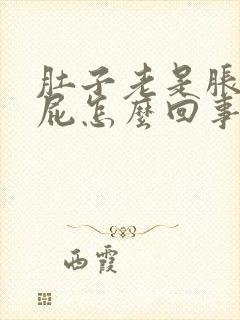 肚子老是胀气放屁怎么回事