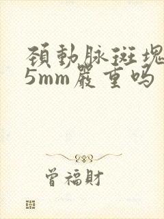 颈动脉斑块2.5mm严重吗