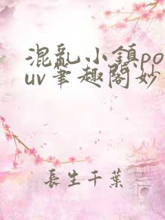 混乱小镇popuv笔趣阁妙妙