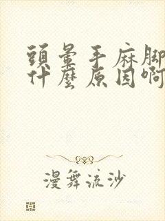 头晕手麻脚麻是什么原因啊