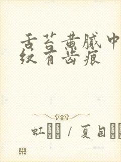 舌苔黄腻中间裂纹有齿痕