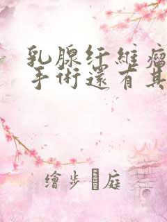 乳腺纤维瘤除了手术还有其他治疗吗