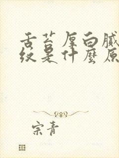 舌苔厚白腻有裂纹是什么原因