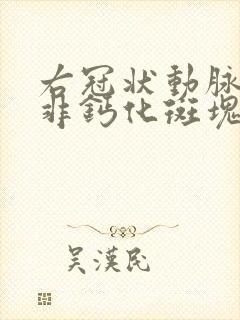 右冠状动脉中段非钙化斑块,管腔轻度狭窄