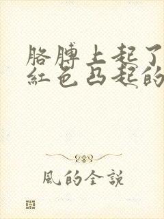 胳膊上起了一个红色凸起的包很痒