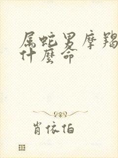 属蛇男摩羯座是什么命