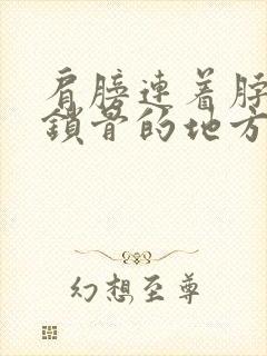 肩膀连着脖子到锁骨的地方疼