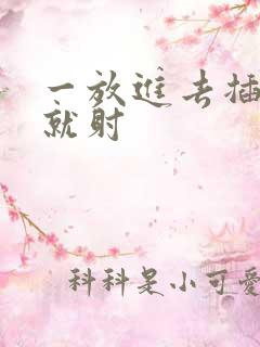 一放进去插两下就射