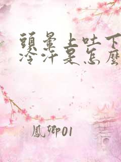 头晕上吐下泻冒冷汗是怎么回事