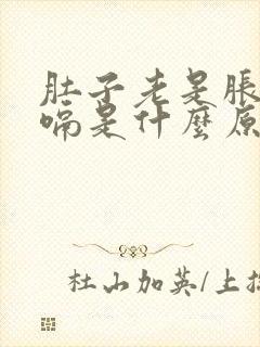 肚子老是胀气打嗝是什么原因