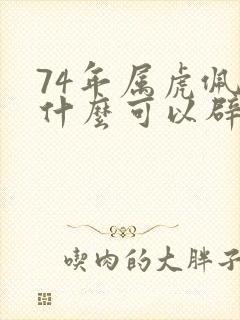 74年属虎佩戴什么可以辟邪招财转运