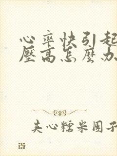 心率快引起的血压高怎么办