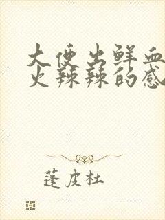 大便出鲜血肛门火辣辣的感觉