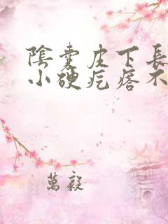 阴囊皮下长了个小硬疙瘩不痛不痒