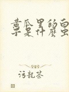 黄瓜里的白色虫子是什么虫