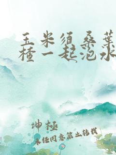 玉米须桑叶和山楂一起泡水喝功效