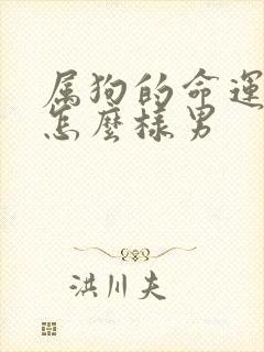 属狗的命运一生怎么样男