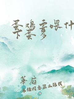 蛋鸡要喂什么才下蛋多