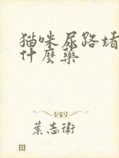 猫咪尿路堵塞吃什么药