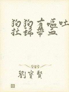 狗狗有呕吐物和拉稀带血