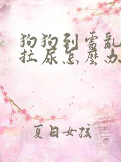 狗狗到处乱拉屎拉尿怎么办