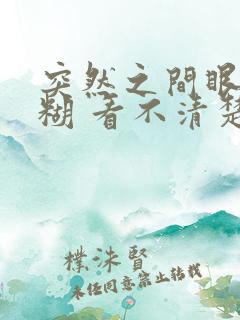 突然之间眼睛模糊 看不清楚东西怎么回事