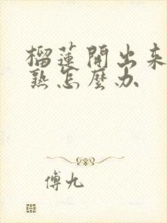 榴莲开出来还没熟怎么办