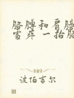 胳膊和肩膀连接处疼 一抬胳膊就疼怎么回事