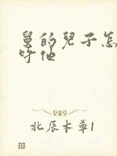 舅的儿子怎么称呼他