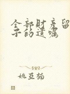 全部财产留给孩子的遗嘱