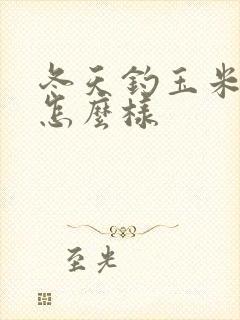 冬天钓玉米效果怎么样