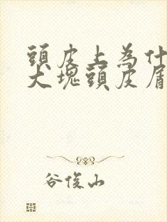 头皮上为什么有大块头皮屑还有结痂