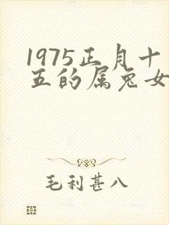 1975正月十五的属兔女孩命运好不好呢