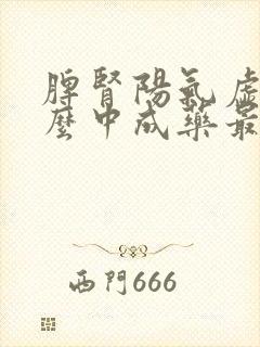 脾肾阳气虚吃什么中成药最好