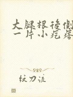 大腿根后侧起了一片小疙瘩还痒