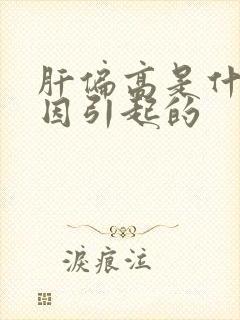 肝偏高是什么原因引起的