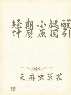 经期小腿酸痛是什么原因引起的