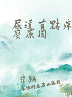 尿道有点痒是什么原因