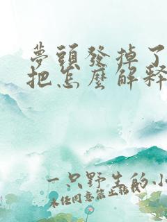 梦头发掉了一大把怎么解释一下