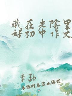 藏在光阴里的美好初中作文800字