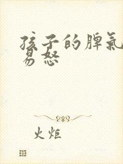 孩子的脾气暴躁易怒