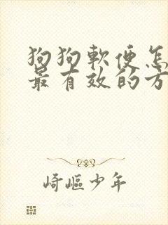 狗狗软便怎么办最有效的方法