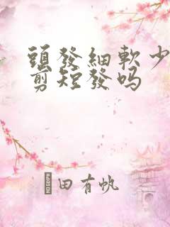 头发细软少适合剪短发吗