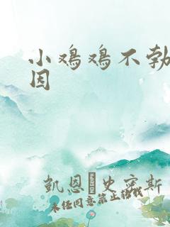 小鸡鸡不勃起原因