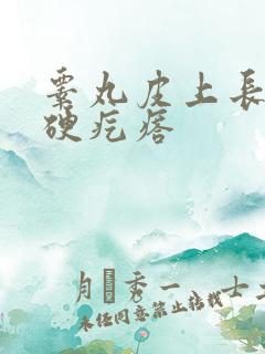 睾丸皮上长白色硬疙瘩