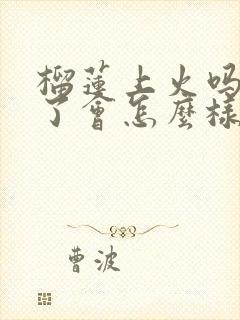 榴莲上火吗吃多了会怎么样