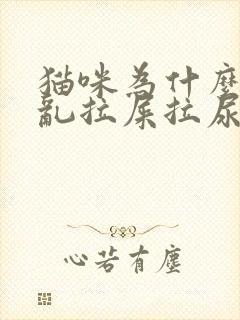 猫咪为什么忽然乱拉屎拉尿