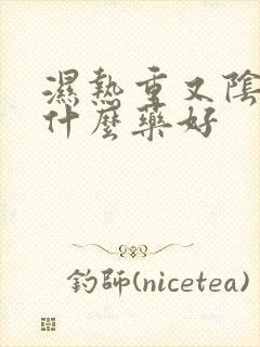 湿热重又阴虚吃什么药好