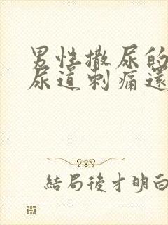 男性撒尿的时候尿道刺痛还流白色液体